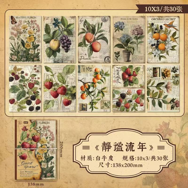 Lost Memory Vintage Kraft Paper Set – Aged Botanical Background Sheets for Journaling, 4 Designs