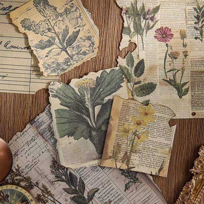 Lost Memory Vintage Kraft Paper Set – Aged Botanical Background Sheets for Journaling, 4 Designs